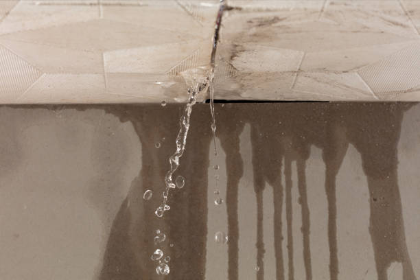 Professional Structural Drying technician working in Collinsville, CT